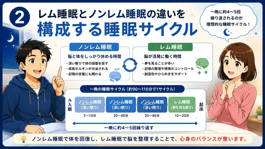レム睡眠とノンレム睡眠の違いや約90分周期の睡眠サイクルを43歳の健太と41歳の美咲が図解で紹介するアニメ風イラスト。