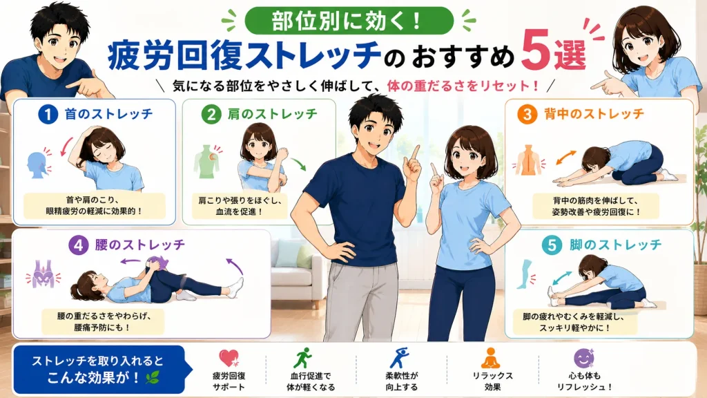 健太と美咲が案内役となり、首・肩・背中・腰・脚の5部位に効果的な疲労回復ストレッチを実演とイラストで紹介する16:9の図解画像。