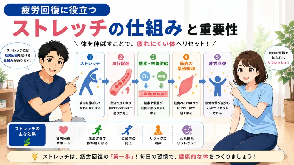 健太と美咲がストレッチによる疲労回復の仕組みを説明し、ストレッチから血流促進、酸素・栄養供給、筋肉の緊張緩和を経て疲労回復につながる流れをフローチャートで解説した図解イラスト。