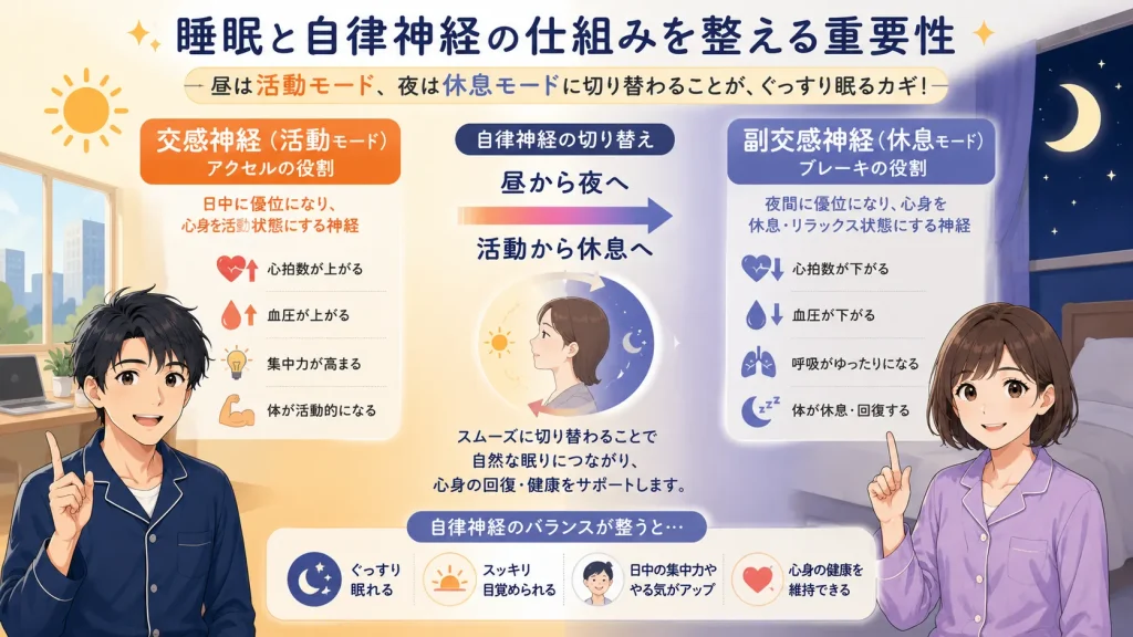 交感神経と副交感神経の働きや、昼から夜への切り替えによる睡眠への影響を健太と美咲が図解で説明しているイラスト。