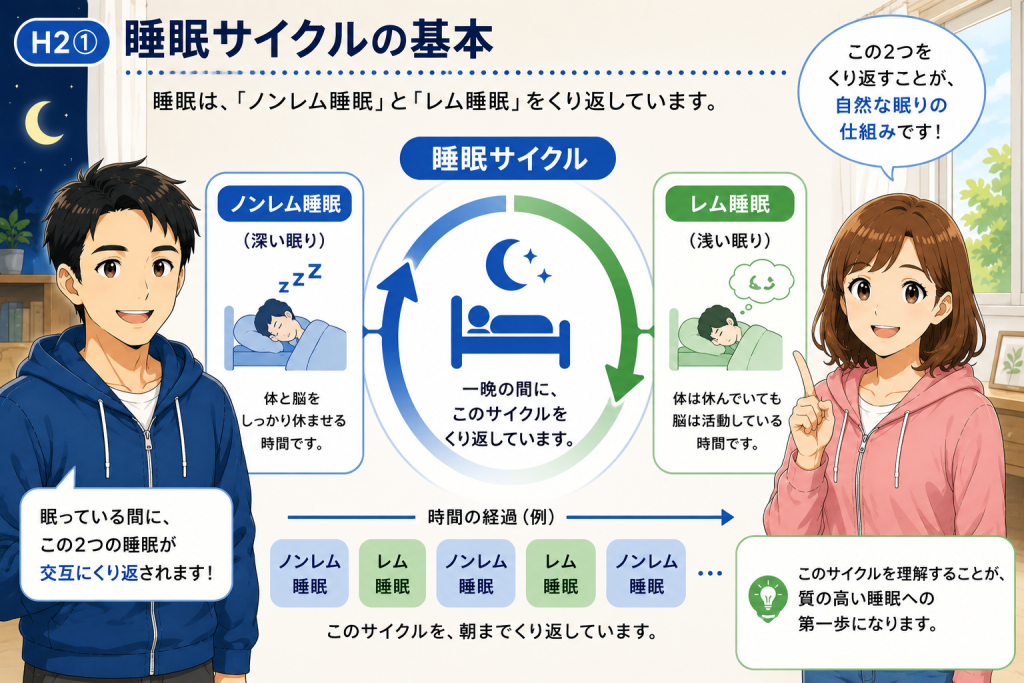 ノンレム睡眠とレム睡眠を繰り返す睡眠サイクルの基本構造を、健太と美咲が図解で説明しているイラスト